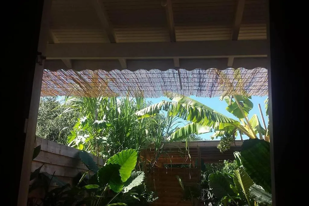 Le Tiki Gite Cote Canne location